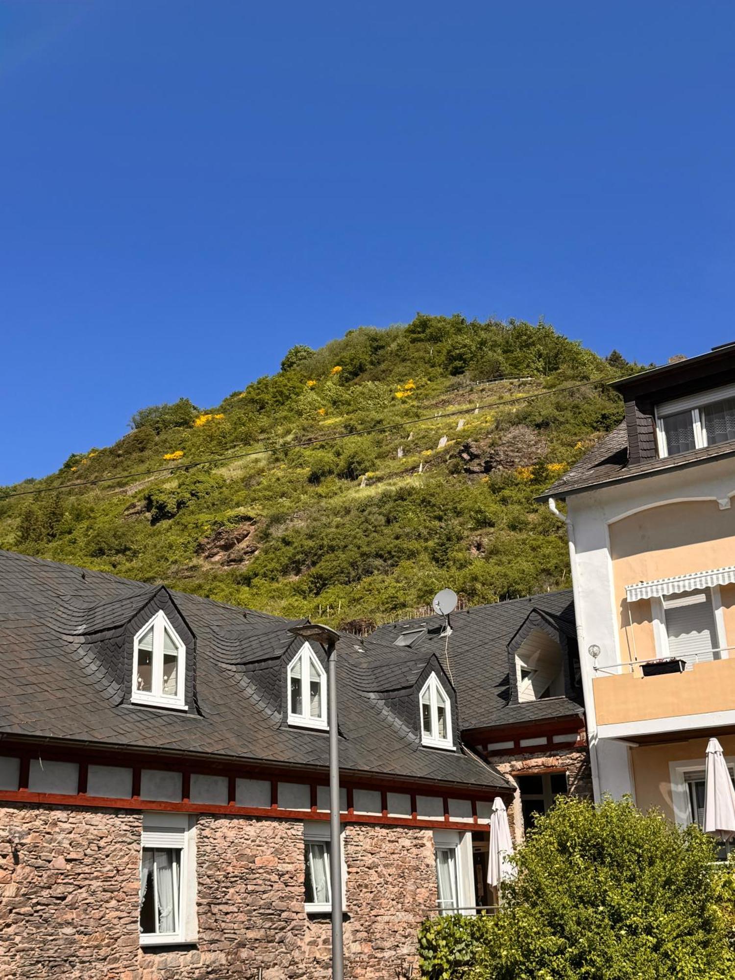 Ferienweingut Rudorfer Hotel Valwig Quarto foto