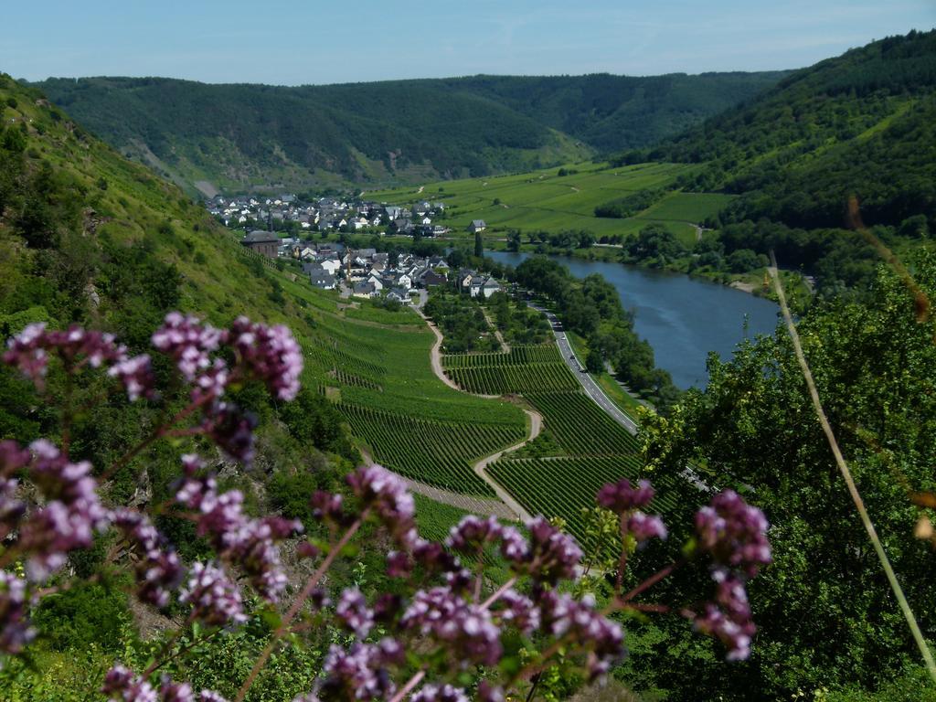 Ferienweingut Rudorfer Hotel Valwig Exterior foto